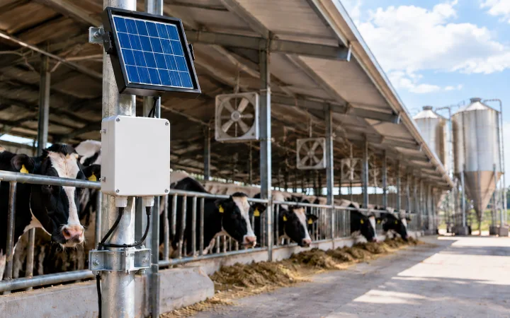 Livestock Monitoring