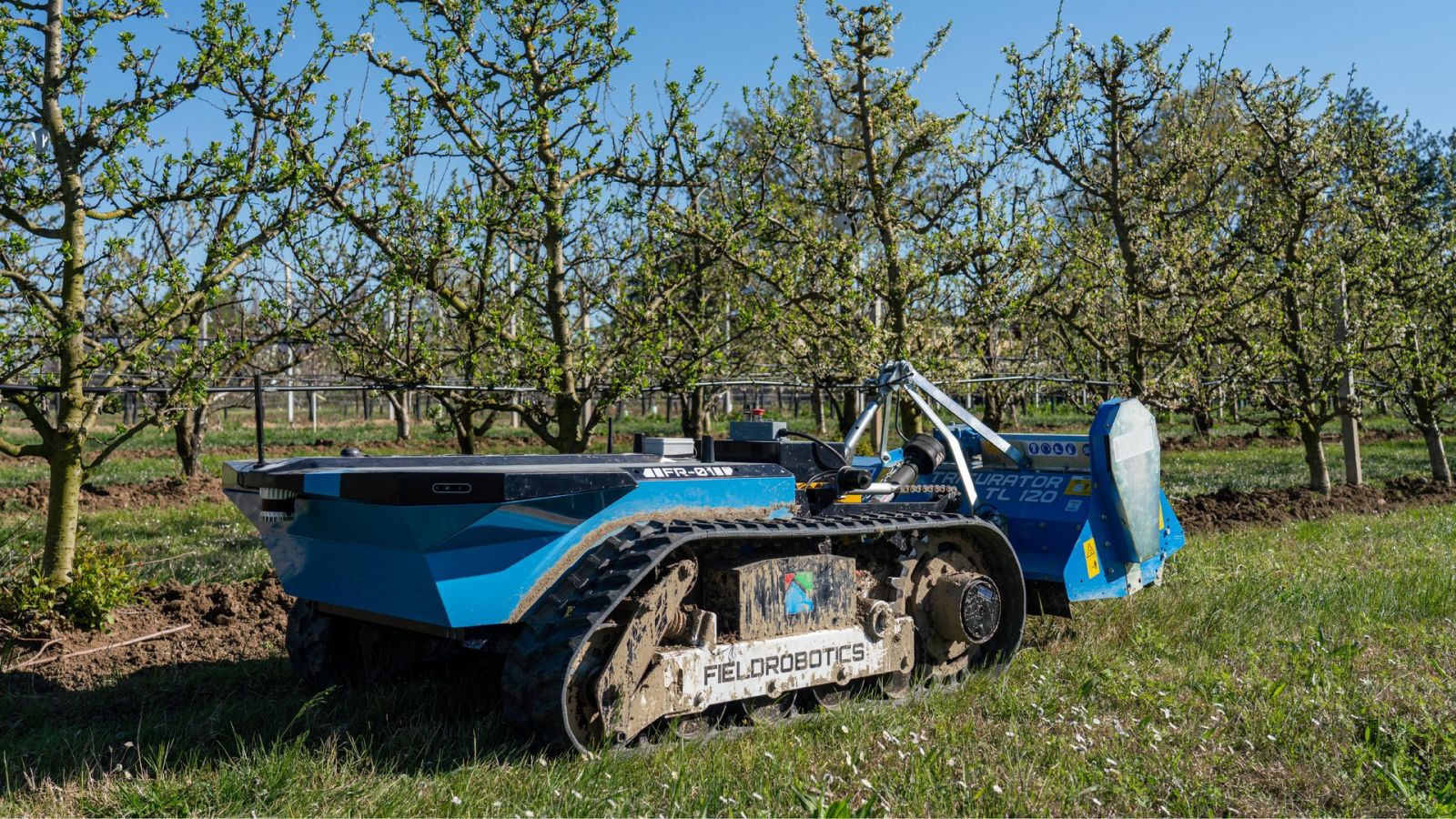 Field Robotics HammerHead