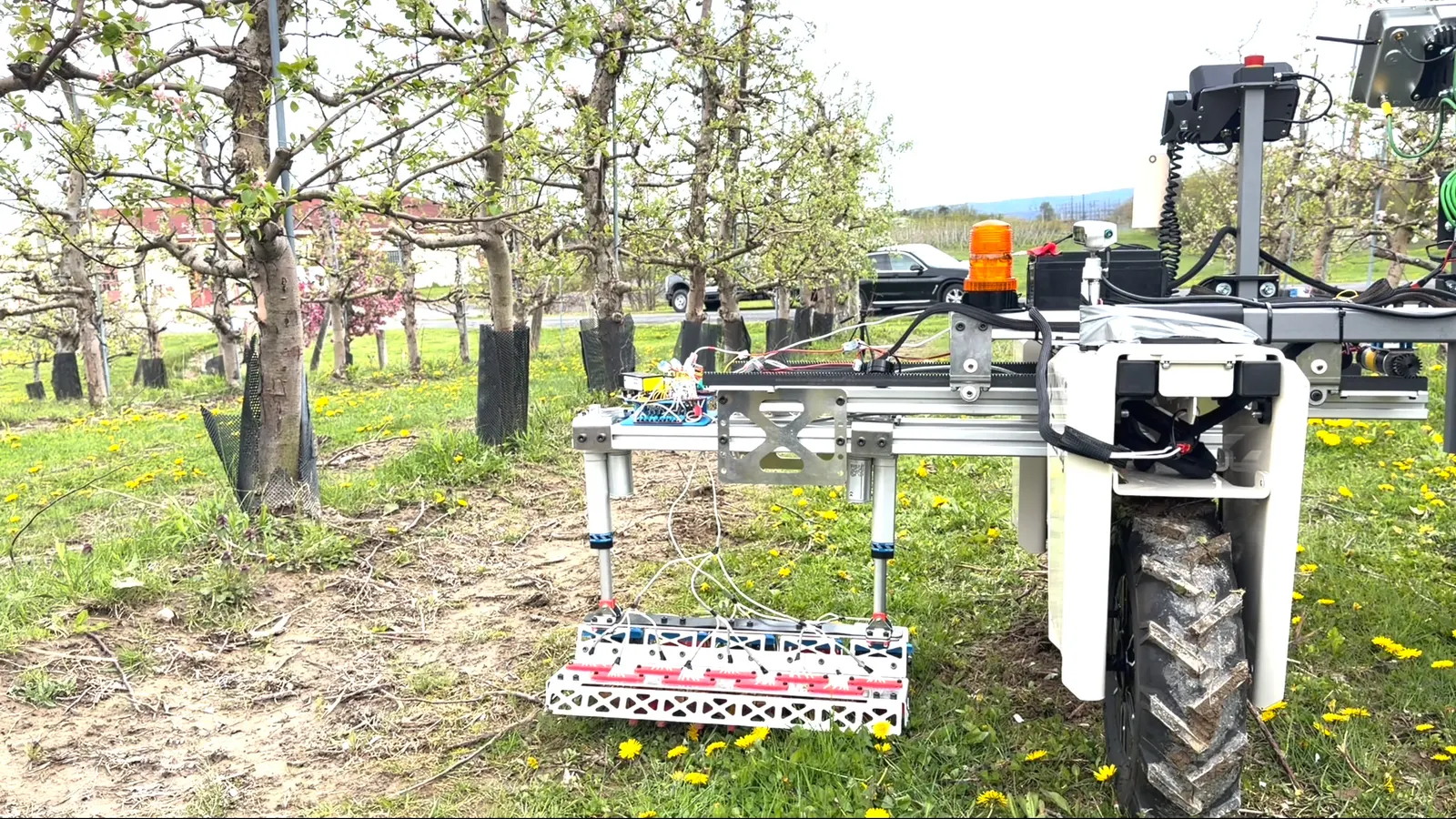 Rootline weeding robot