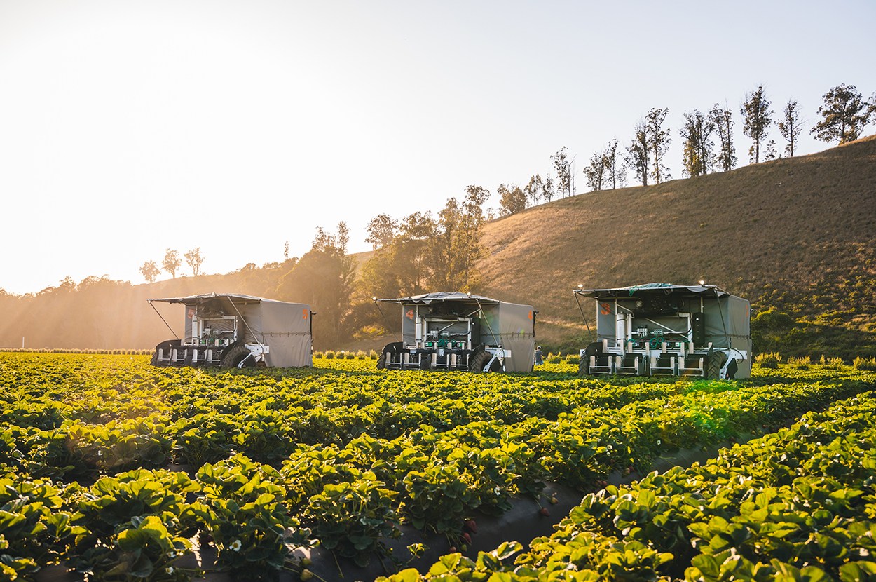 Advanced Farm TX Strawberry Harvester