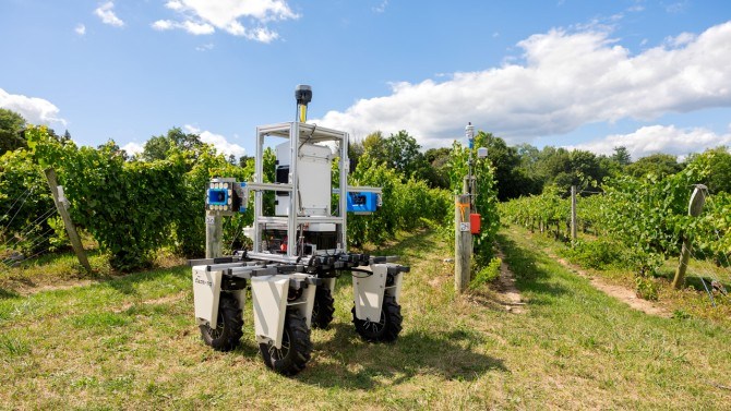 Cornell PhytoPatholoBot