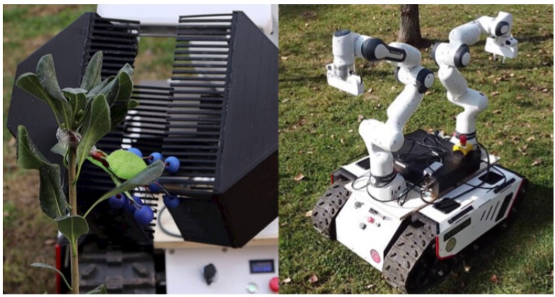 UC dual-arm farm robot