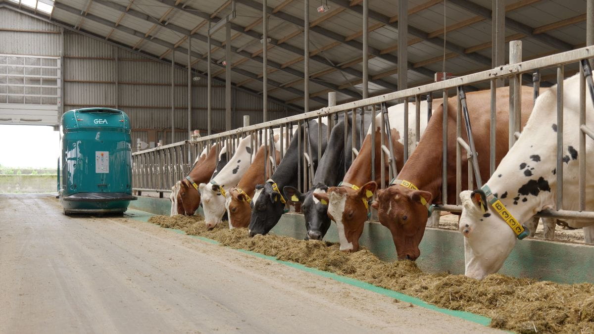 GEA DairyFeed F4500
